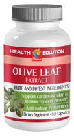 Brain Support - Olive Leaf Extract 500Mg - Olive Leaf Extract - 1 Bottle 60 Capsules