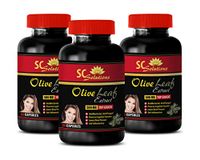 Brain Support Supplement for Memory - Olive Leaf Extract - Natural antioxidant Supplement - 3 Bottle 180 Capsules