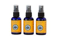 Nantucket Spider Original Natural Bug Repellent | DEET-Free with Organic Essential Oils | Repels Mosquitoes and Insects | Suits People of All Ages and Horses | Travel Size – 02 fl oz | Pack of 03