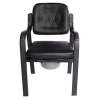 PLLP Medical Rehab Chair, Wheelchair,Chair Bath Toilet Seat Pregnant Women Old Man Potty Sturdy Waterproof