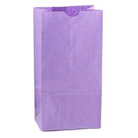 Hygloss Products Purple Paper Bags – For Party Favors, Arts, Crafts 3.5 x 6 x 11 Inch, 100 Pack