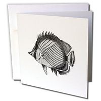 3dRose Butterfly fish - Tropical Fish vintage black and white illustration - Greeting Cards, 6 x 6 inches, set of 12 (gc_164947_2)