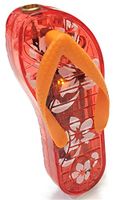 Eclipse Collectible Novelty Flip Flop Style Refillable Lighter with Flashing Lights! Assorted Colors, 1489-2