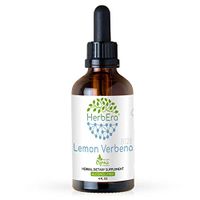 Lemon Verbena B120 Alcohol-Free Herbal Extract Tincture, Organic Lemon Verbena (Aloysia citriodora) Dried Leaf (4 fl oz)