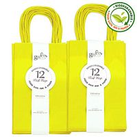 Gift Expressions Paper Gift Bags, 24 Count, Yellow Kraft Paper Bags, 5.25” x 8.5” x 3.5", 100% Recycled, Thick & Durable Eco Friendly Paper Bags with Handles, Goodie Bags, Party Bags