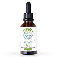 Ginger B60 Alcohol-Free Herbal Extract Tincture, Super-Concentrated Organic Ginger (Zingiber officinale) 2 fl oz
