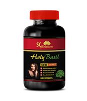 Anti inflammatory Supplement Formula - HOLY Basil 750 MG Extract - holy Basil Anti Aging - 1 Bottle (60 Capsules)