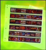 CLEAR-FILE  Format #13B Archival PLUS Negative Page