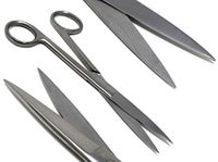 A2Z-SS03 Dissecting Scissors, Sharp/Sharp Point Blades, 6.5" (16.5cm), Straight, Premium Quality, Stainless Steel
