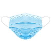 Face Mask Personal Protection 3-Layers Earloop Masks US Warehouse Supplied by HOMENEAT (500PCS)