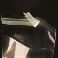 3 5/16in. X 5 1/8in. Flat Cellophane Bags with Adhesive Closure - Pack of 100