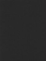 Canson Mi-Teintes Mat Board stygian black 16 in. x 20 in. [PACK OF 5 ]