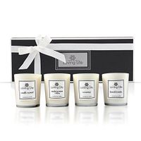 Vegan Scented Candle Gift Set - Hand-poured Soy Wax Candles With Essential Oils (Lavender, Citrus, Ocean Mist and Vanilla Caramel) - 4 x 2.8 Oz/80g