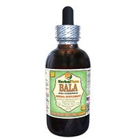 Bala (SIDA Cordifolia) Glycerite, Dried Leaves and Stems Alcohol-Free Liquid Extract (Brand Name: HerbalTerra, Proudly Made in USA) 4 fl.oz (120 ml)
