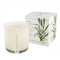 Fresh Cut Grass Soy Candle with Plantable Box