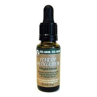 Feel Bach! Flower Star of Bethlehem 20 ml
