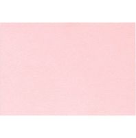 A1 Notecards (3 1/2 x 4 7/8) - Candy Pink (50 Qty.)