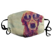 Face Mask Vintage Blue Sky Cool Golden Retriever Dog with Sunglasses Unique Cycling Half Face Earloop Dust Mask for Boys