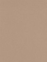 Canson Mi-Teintes Mat Board sand 16 in. x 20 in. [PACK OF 5 ]