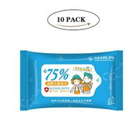 WANGJIANGLI 10 Pumping Disposable Wipes, Non-Woven Adult Daily Care Wet Wipes Hand Cleaning Shine Wipes Household Protective Products (10 Pcs)