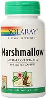 Solaray Marshmallow Root 480 mg | Healthy Respiratory Function & Digestion Support | Non-GMO & Vegan | 100 VegCaps