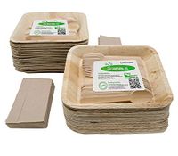 Party Holiday Pack of Eco-Friendly Disposable Dinnerware - 50 Large Deep 9.5" Square Palm Leaf Compostable Plates, 50 Wooden Forks, 50 Wooden Spoons, with Unbleached Tissues