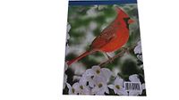 36 Count Letter Sheet Tablet, Notepad, Writing Tablet, (Cardinal)
