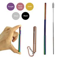 Bestie Online Reusable Collapsible Straw with Metal Case, Cleaning Brush & Hook (Rose Gold Color with Rainbow Straw)