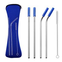 buS9YIN4E 4Pcs Creative Reusable Stainless Steel Metal Straws with Silicone Tips Cover - About 8.5 Inch- Include 1Pc Organizer Bag 1Pc Cleaning Brush 2Pcs Bent Straws and 2Pcs Straight Straws