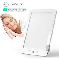 Light Therapy Lamp, Bright Adjustable 10,000 Lux with Multi-Angle Bracket, 3 Brightness Modes