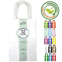 12CT SMALL WHITE BIODEGRADABLE PAPER, PREMIUM QUALITY PAPER (STURDY & THICKER), KRAFT BAG WITH COLORED STURDY HANDLE