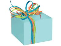 Gloss Color Gift Wrap Paper - Aqua Gloss 24"x417' Solid Color Gift Wrap Counter Roll (1 roll) - Wraps -3278H24
