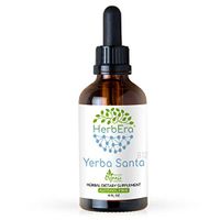 Yerba Santa B120 Alcohol-Free Herbal Extract Tincture, Super-Concentrated Wildcrafted Yerba Santa (Eriodictyon Californicum) Dried Leaf (4 fl oz)