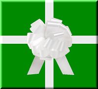 Extra Long Holiday Green Gift Wrap Wrapping Paper Large 18ft Roll