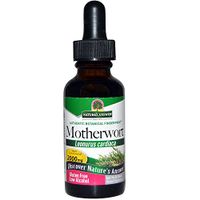 Nature's Answer Motherwort HERB, 1 FZ