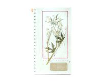 Note Book Art of Nature (Mixed Color Flower)