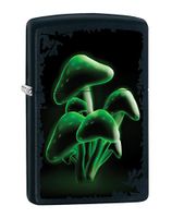 Zippo Green Mushroom Outdoor Indoor Windproof Lighter Custom Personalized Engraved Message on Backside