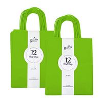 24CT Medium Lime Green Biodegradable, Food Safe Ink & Paper, Premium Quality Paper (Sturdy & Thicker), Kraft Bag with Colored Sturdy Handles (Medium, Lime Green)
