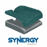 Synergy Solution 1 Cushion - 20" X 18"