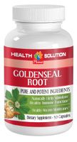 Goldenseal Liquid - GOLDENSEAL Root Extract - Digestive Tract Support (1 Bottle)