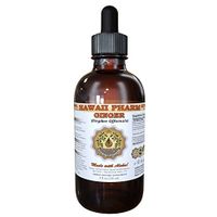 Ginger (Zingiber officinale) Liquid Extract Tincture 4 oz