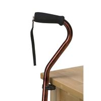 Cane Holder
