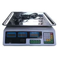 Digital Price Scale, Electronic Price Computing Scale, LCD Digital Counting Weight Scale Equipment, Rechargeable Battery, Stainless Steel, Commercial Deli Retail Market Food Meat Fruit, 88lb/40KG