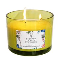 YCYH Citronella Scented Candles Outdoor Indoor Aromatherapy Stress Relief Pure Soy Wax 3-Wick Aromatherapy Candles 80 Hour Burn Long Lasting (14.5 Ounce)