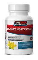 Brain Memory Power Boost - ST. John's Wort Extract - Gingko Biloba - 1 Bottle (60 Capsules)