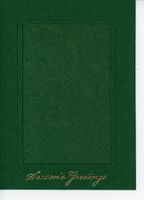 "Season's Greetings" Photo Insert Card by Plymouth Cards- Pkg 10 (Vertical, Green)