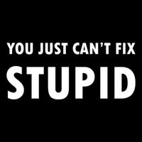 You Just Can't Fix Stupid Vinyl Decal Sticker | Cars Trucks Vans Walls Laptops Cups | White | 5.5 X 2.6 Inch | KCD1767