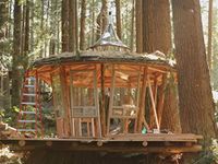 Mushroom House