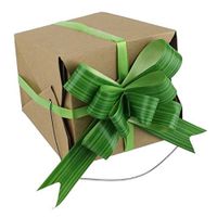PoshNPretty Ti Leaf Pull Bow - 12 PCS