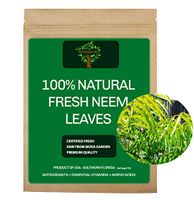 Fresh Neem Leaves, Qty 30 Whole Raw Leaf, Including Stems. Product of USA